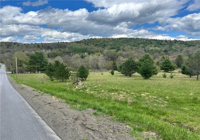 Photo 1 of Land for sale at Mary Brown Hl Rd, Laurens, NY 13796 | MLS# R1714941 | Listing updated on 2026-09-15