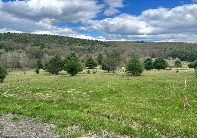 Photo 3 of House for sale at Mary Brown Hl Rd, Laurens, NY 13796 | MLS# R1714941 | Listing updated on 2026-09-15