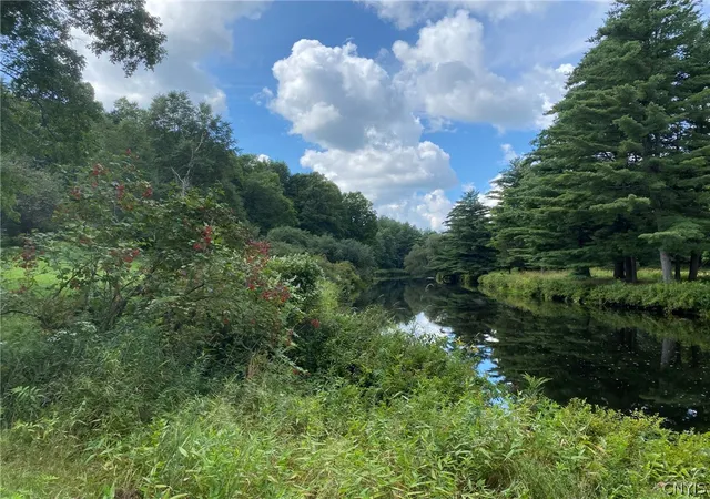 Photo 3 of Land for sale at 0 Emeryville Rd, Gouverneur, NY 13642 | MLS# S1714228 | Listing updated on 2026-09-16