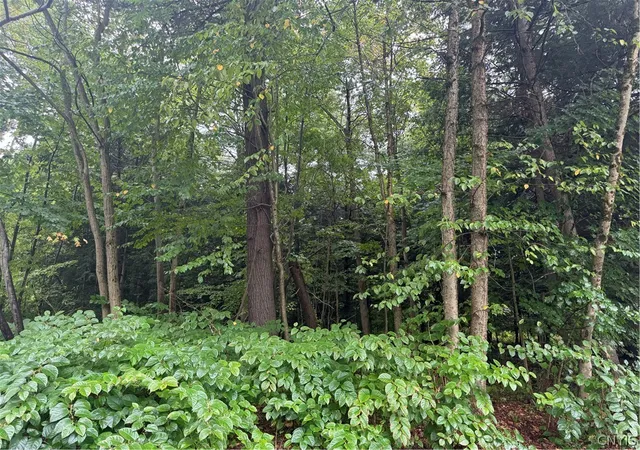 Photo 2 of Land for sale at Shady Ln, Sylvan Beach, NY 13157 | MLS# S1716154 | Listing updated on 2026-09-21