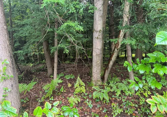 Photo 3 of Land for sale at Shady Ln, Sylvan Beach, NY 13157 | MLS# S1716154 | Listing updated on 2026-09-21