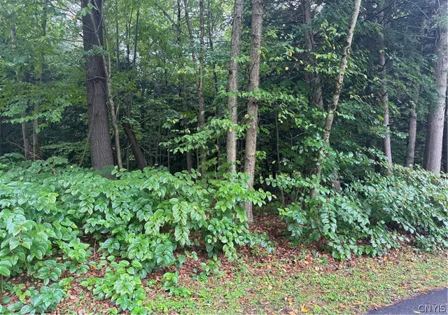 Photo 3 of Land for sale at Shady Ln, Sylvan Beach, NY 13157 | MLS# S1716154 | Listing updated on 2026-09-21