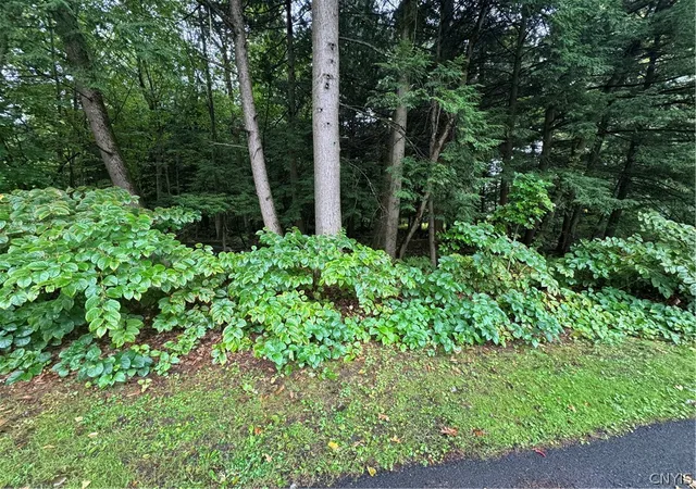 Photo 4 of Land for sale at Shady Ln, Sylvan Beach, NY 13157 | MLS# S1716154 | Listing updated on 2026-09-21