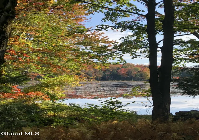 Photo 2 of Land for sale at 234 Cranberry Pond Rd, Cropseyville, NY 12052 | MLS# 202614611 | Listing updated on 2026-09-22