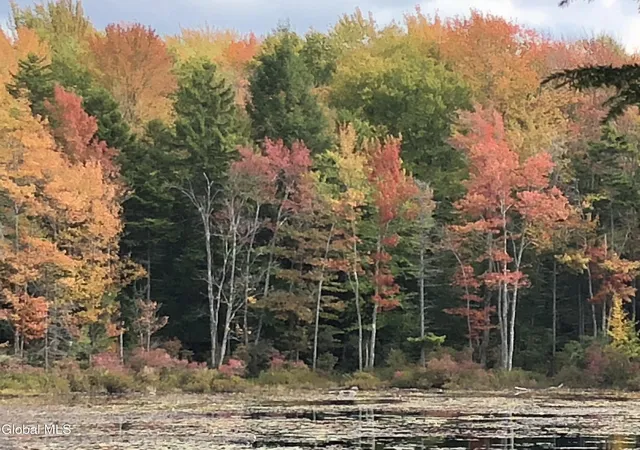 Photo 3 of Land for sale at 234 Cranberry Pond Rd, Cropseyville, NY 12052 | MLS# 202614611 | Listing updated on 2026-09-22
