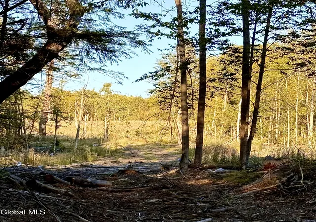 Photo 3 of Land for sale at 336 Dickinson Hl Rd, Diamond Point, NY 12824 | MLS# 202624068 | Listing updated on 2026-09-29