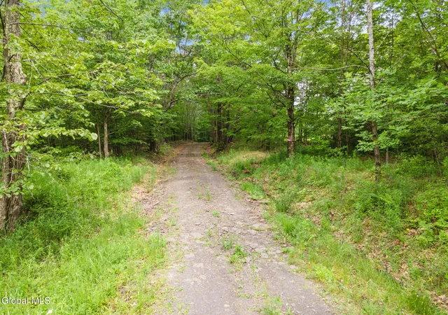 Photo 1 of Land for sale at 255 Lassen Rd, Middleburgh, NY 12122 | MLS# 202625211 | Listing updated on 2026-09-01