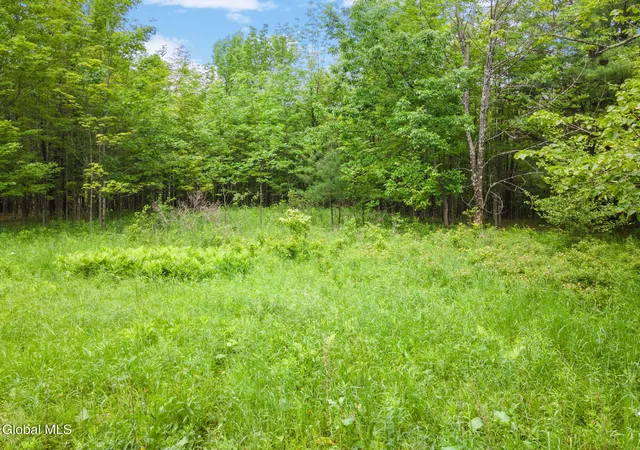Photo 2 of Land for sale at 255 Lassen Rd, Middleburgh, NY 12122 | MLS# 202625211 | Listing updated on 2026-09-01