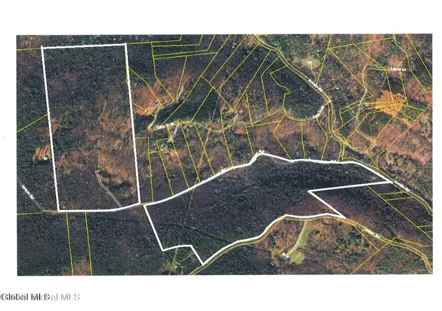 Photo 3 of Land for sale at 255 Lassen Rd, Middleburgh, NY 12122 | MLS# 202625211 | Listing updated on 2026-09-01