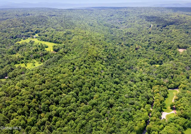 Photo 3 of Land for sale at 255 Lassen Rd, Middleburgh, NY 12122 | MLS# 202625211 | Listing updated on 2026-09-01