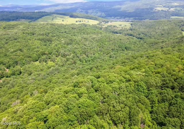 Photo 4 of Land for sale at 255 Lassen Rd, Middleburgh, NY 12122 | MLS# 202625211 | Listing updated on 2026-09-01