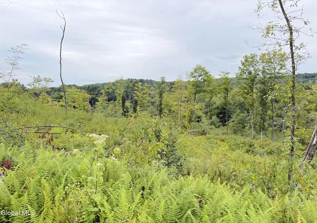 Photo 3 of Land for sale at L4 Lee Brk Ln Off, Salem, NY 12865 | MLS# 202625173 | Listing updated on 2026-09-16