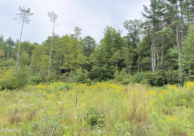 Photo 3 of Land for sale at L4 Lee Brk Ln Off, Salem, NY 12865 | MLS# 202625173 | Listing updated on 2026-09-16