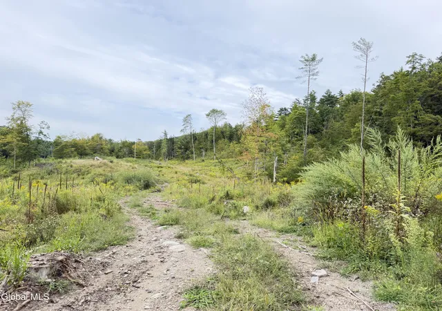 Photo 4 of Land for sale at L4 Lee Brk Ln Off, Salem, NY 12865 | MLS# 202625173 | Listing updated on 2026-09-16