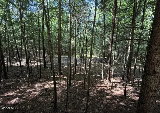 Land for sale at 57 Hidden Valley Rd, Lake Luzerne, NY 12846 | MLS# 202625229