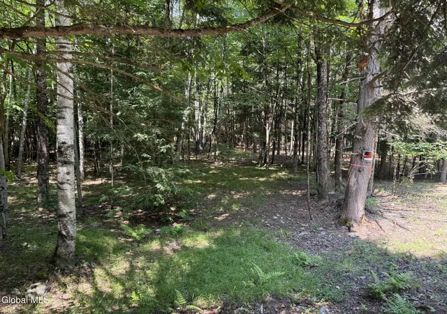 Land for sale at 65 Hidden Valley Rd, Lake Luzerne, NY 12846 | MLS# 202625225
