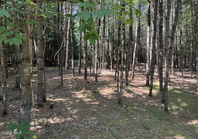 Land for sale at 45 Hidden Valley Rd, Lake Luzerne, NY 12846 | MLS# 202625219