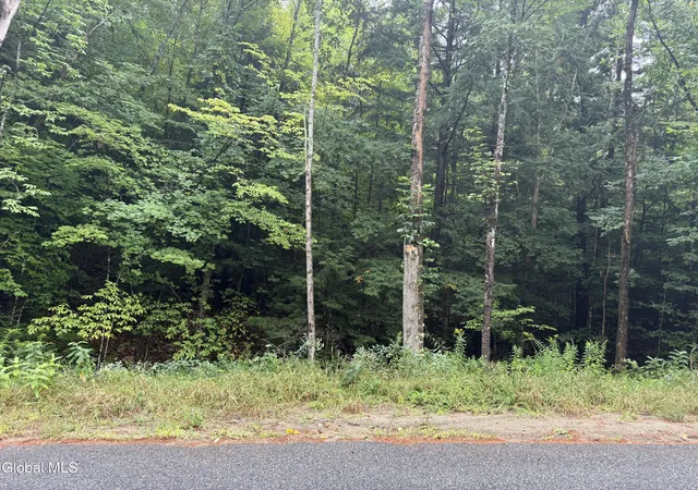 Photo 1 of Land for sale at 0000 Parker Cross Rd, Warrensburg, NY 12885 | MLS# 202625235 | Listing updated on 2026-09-17