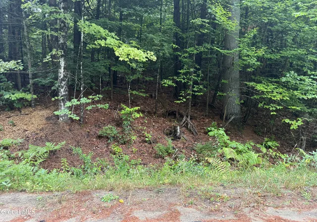 Photo 2 of Land for sale at 0000 Parker Cross Rd, Warrensburg, NY 12885 | MLS# 202625235 | Listing updated on 2026-09-17