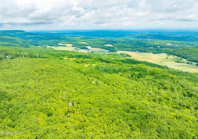 Photo 2 of Land for sale at L43 Cass Hl Rd, New Scotland, NY 12186 | MLS# 202625234 | Listing updated on 2026-09-11