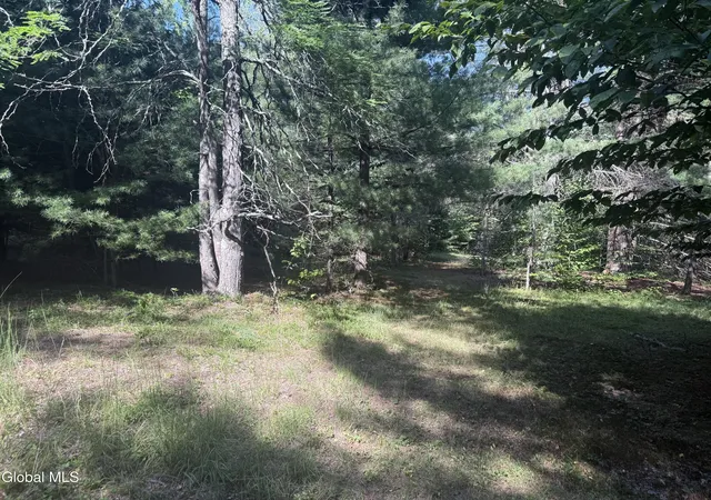 Photo 1 of Land for sale at 375 Ormsbee Rd, Porter Corners, NY 12859 | MLS# 202625228 | Listing updated on 2026-09-01