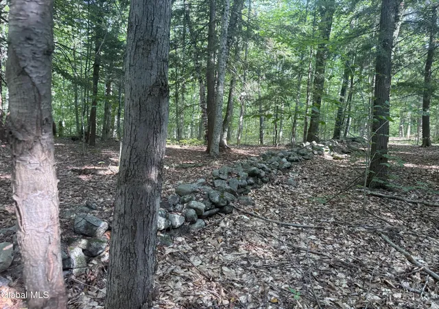 Photo 3 of Land for sale at 375 Ormsbee Rd, Porter Corners, NY 12859 | MLS# 202625228 | Listing updated on 2026-09-01
