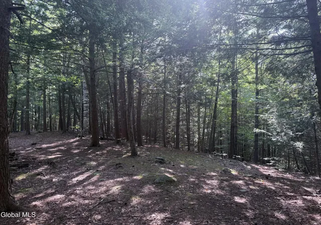 Photo 4 of Land for sale at 375 Ormsbee Rd, Porter Corners, NY 12859 | MLS# 202625228 | Listing updated on 2026-09-01