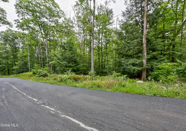 Photo 3 of Land for sale at 0 Walk Rd, Sand Lake, NY 12153 | MLS# 202625448 | Listing updated on 2026-09-08