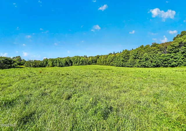 Photo 1 of Land for sale at L2501 County Hwy 37, Decatur, NY 12197 | MLS# 202625903 | Listing updated on 2026-09-11