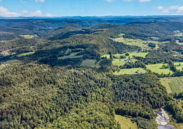Photo 3 of Land for sale at L2501 County Hwy 37, Decatur, NY 12197 | MLS# 202625903 | Listing updated on 2026-09-11