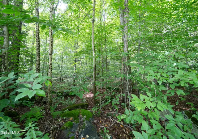 Photo 3 of Land for sale at Lot 54 Hemlock Dr, Gloversville, NY 12078 | MLS# 202625513 | Listing updated on 2026-09-05