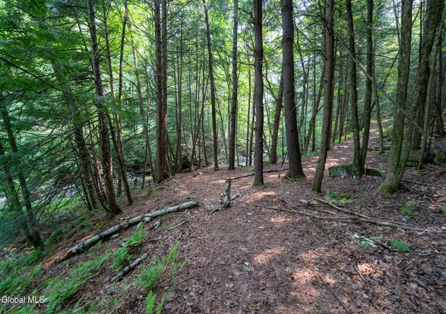 Photo 3 of Land for sale at L11 N Shore Rd, Edinburg, NY 12835 | MLS# 202625541 | Listing updated on 2026-09-06