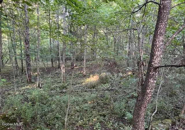 Photo 3 of Land for sale at L112 Rossman Fly Rd, Summit, NY 12175 | MLS# 202625613 | Listing updated on 2026-09-08