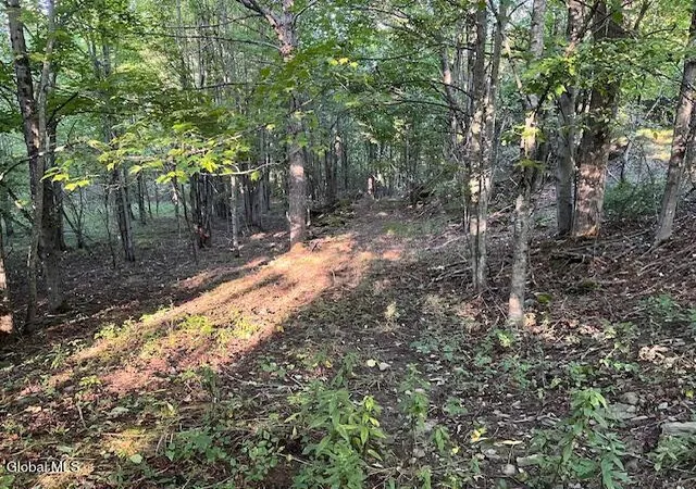 Photo 3 of Land for sale at L112 Rossman Fly Rd, Summit, NY 12175 | MLS# 202625613 | Listing updated on 2026-09-08