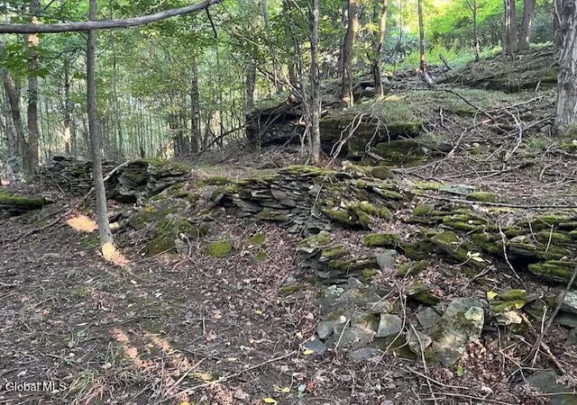 Photo 4 of Land for sale at L112 Rossman Fly Rd, Summit, NY 12175 | MLS# 202625613 | Listing updated on 2026-09-08