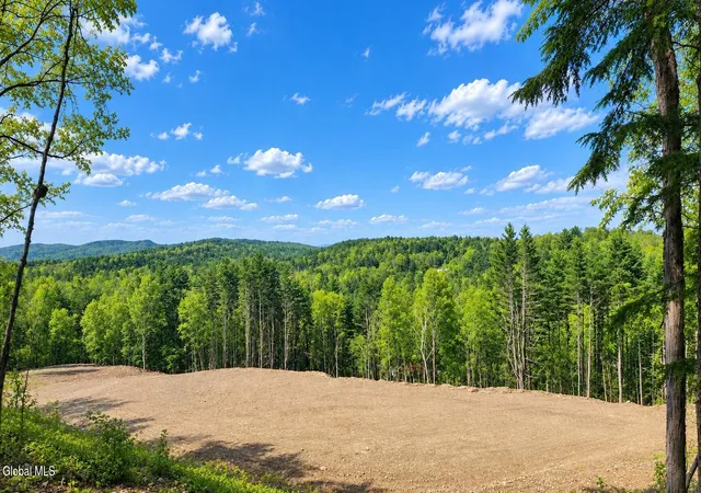 Photo 1 of Land for sale at 7400 Ny 66, Nassau, NY 12018 | MLS# 202625983 | Listing updated on 2026-09-11