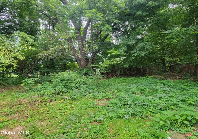 Photo 4 of House for sale at 239 Colonie St, Albany, NY 12210 | MLS# 202625709 | Listing updated on 2026-09-10