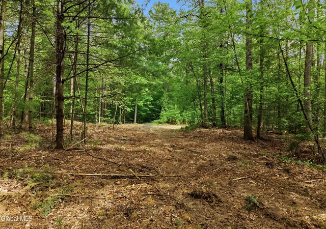 Photo 4 of Land for sale at L 202 New York 50, Gansevoort, NY 12831 | MLS# 202625747 | Listing updated on 2026-09-09