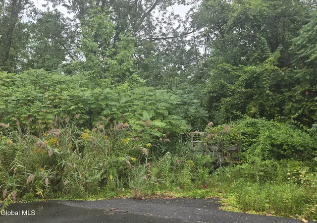 Photo 2 of Land for sale at 1 Washington St, Colonie, NY 12110 | MLS# 202625932 | Listing updated on 2026-09-11