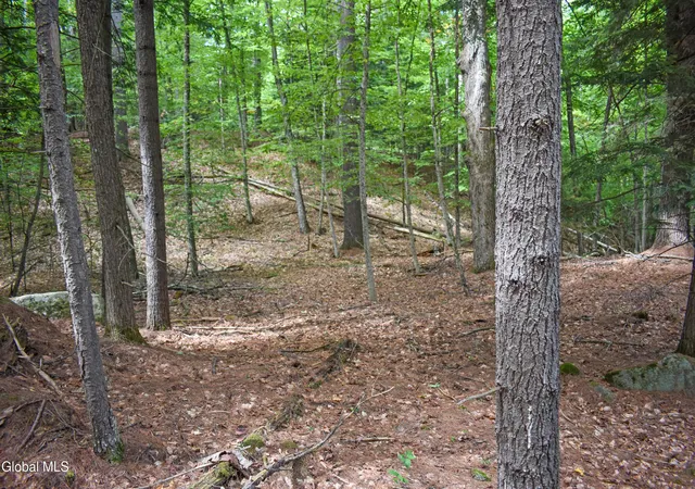 Photo 3 of Land for sale at L135 Joan Ct, Chestertown, NY 12817 | MLS# 202625820 | Listing updated on 2026-09-24