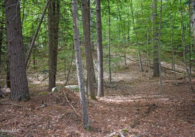Photo 3 of Land for sale at L135 Joan Ct, Chestertown, NY 12817 | MLS# 202625820 | Listing updated on 2026-09-24