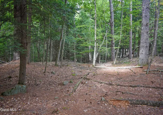 Photo 4 of Land for sale at L135 Joan Ct, Chestertown, NY 12817 | MLS# 202625820 | Listing updated on 2026-09-24