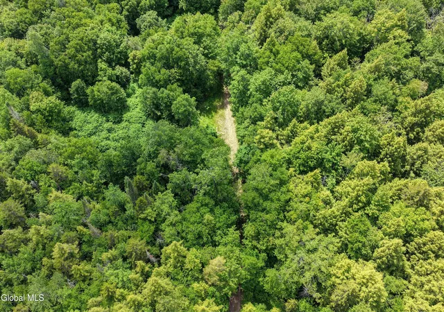 Photo 1 of Single family home for sale at L13 Newkirks Lake Rd, Caroga, NY 12032 | MLS# 202626041 | Listing updated on 2026-09-25