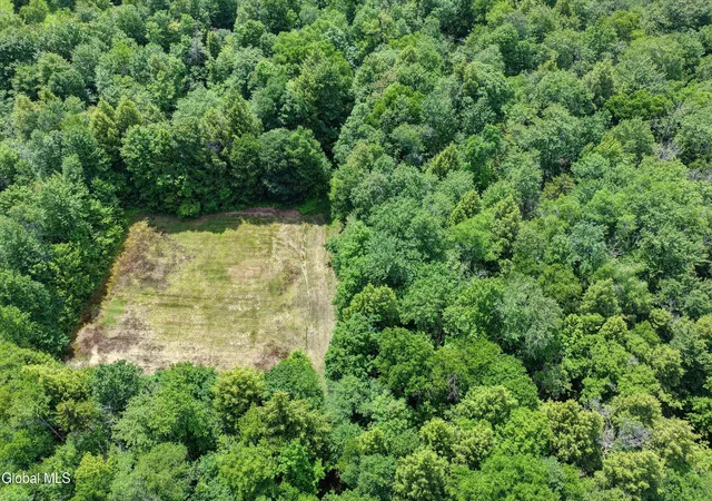 Photo 3 of Single family home for sale at L13 Newkirks Lake Rd, Caroga, NY 12032 | MLS# 202626041 | Listing updated on 2026-09-25