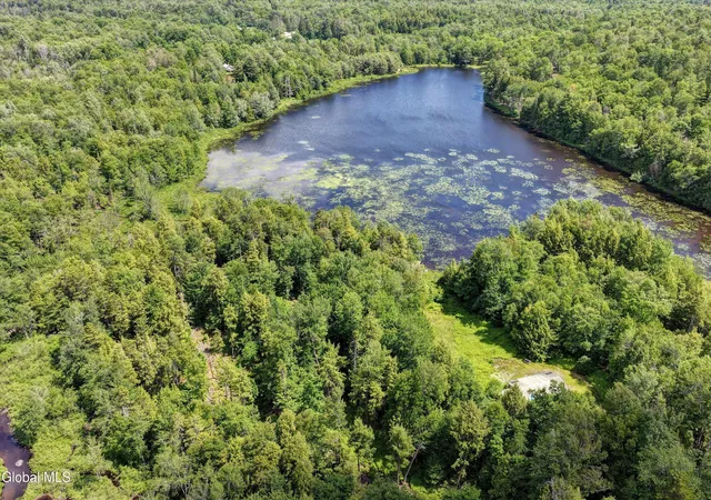 Photo 3 of Single family home for sale at L13 Newkirks Lake Rd, Caroga, NY 12032 | MLS# 202626041 | Listing updated on 2026-09-25