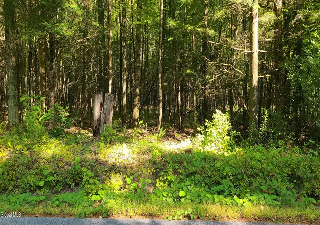 Photo 1 of Sale Pending at 395 Cook Rd, Essex, NY 12936 | MLS# 202626138 | Listing updated on 2026-09-27