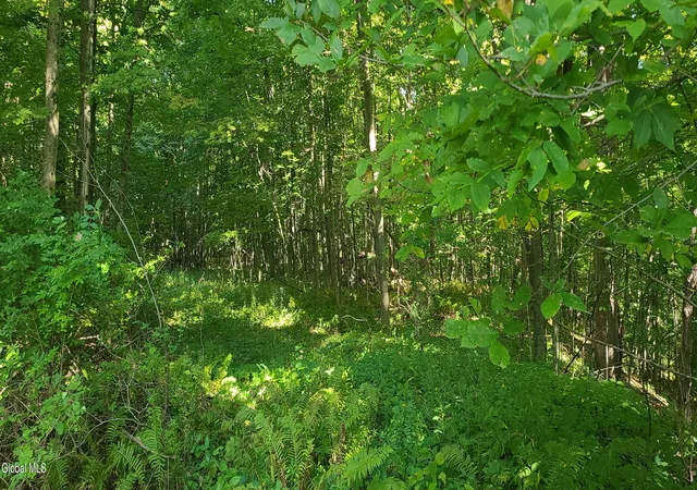 Photo 3 of Sale Pending at 395 Cook Rd, Essex, NY 12936 | MLS# 202626138 | Listing updated on 2026-09-27