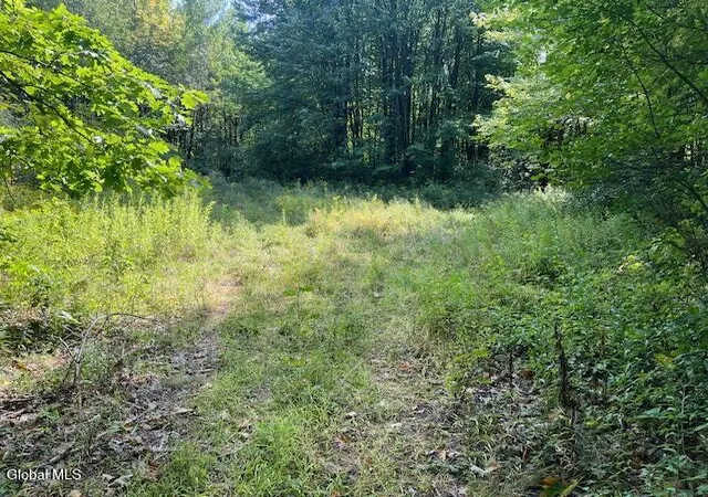 Photo 1 of Land for sale at L6 Burtonville Rd, Fultonville, NY 12072 | MLS# 202626054 | Listing updated on 2026-09-14