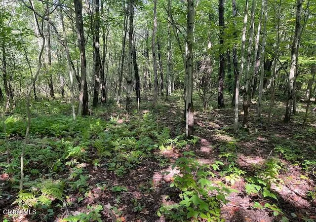 Photo 2 of Land for sale at L6 Burtonville Rd, Fultonville, NY 12072 | MLS# 202626054 | Listing updated on 2026-09-14
