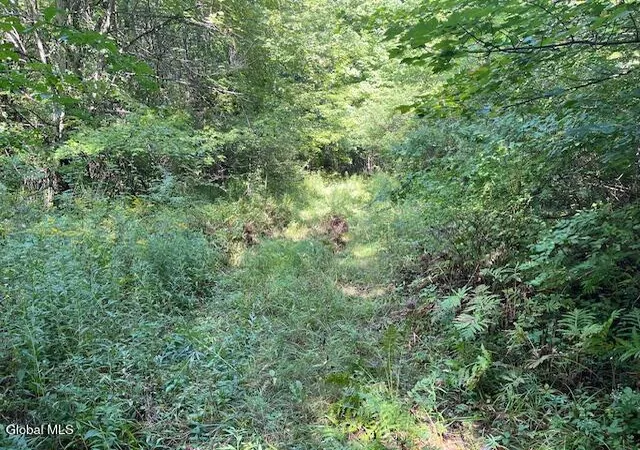 Photo 3 of Land for sale at L6 Burtonville Rd, Fultonville, NY 12072 | MLS# 202626054 | Listing updated on 2026-09-14